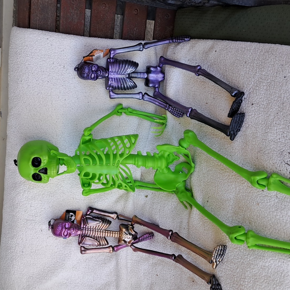 👻 4 Skeletos New But On Display - Picture 6 of 8
